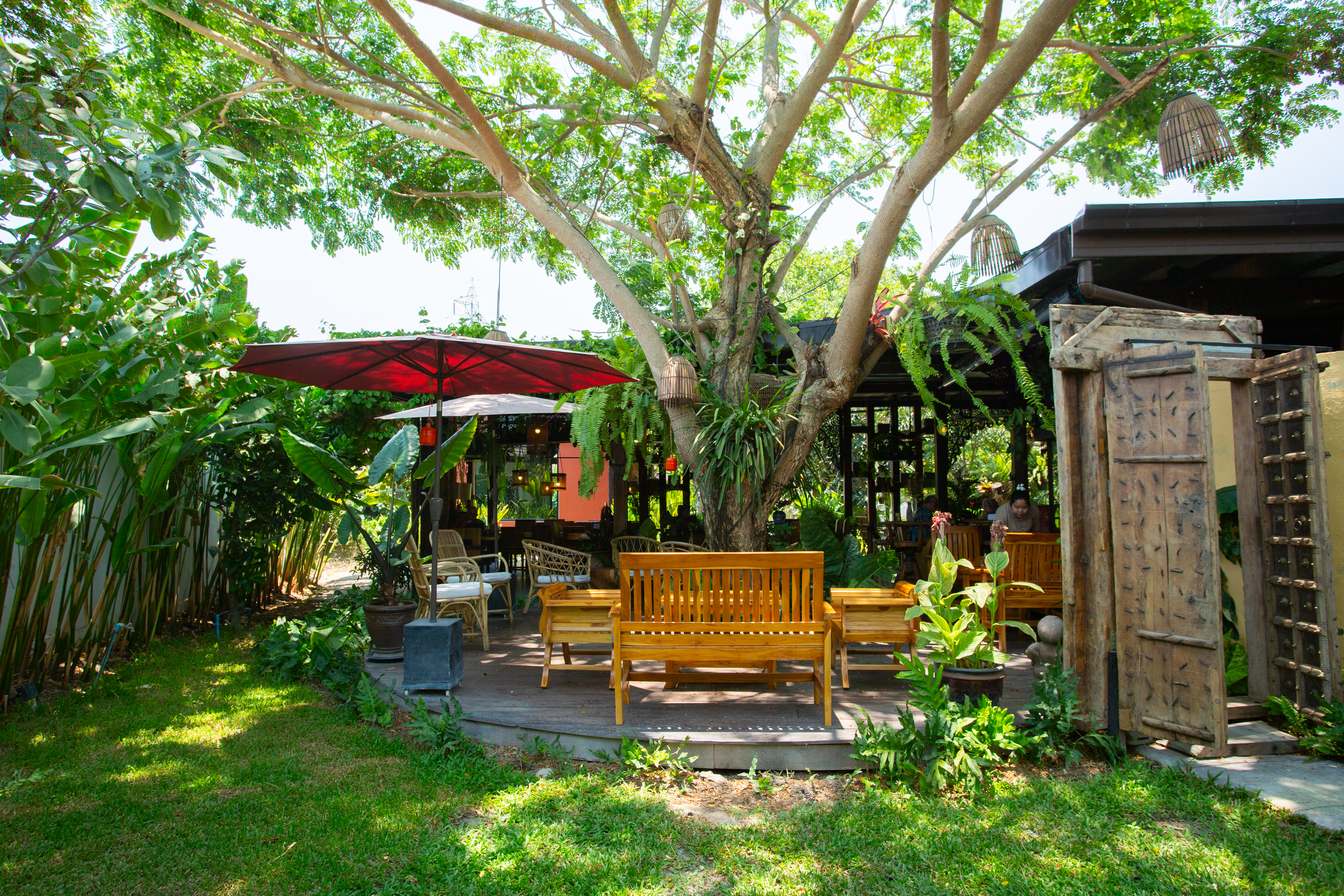 Outdoor garden seating beneath a large tree at Apsara
