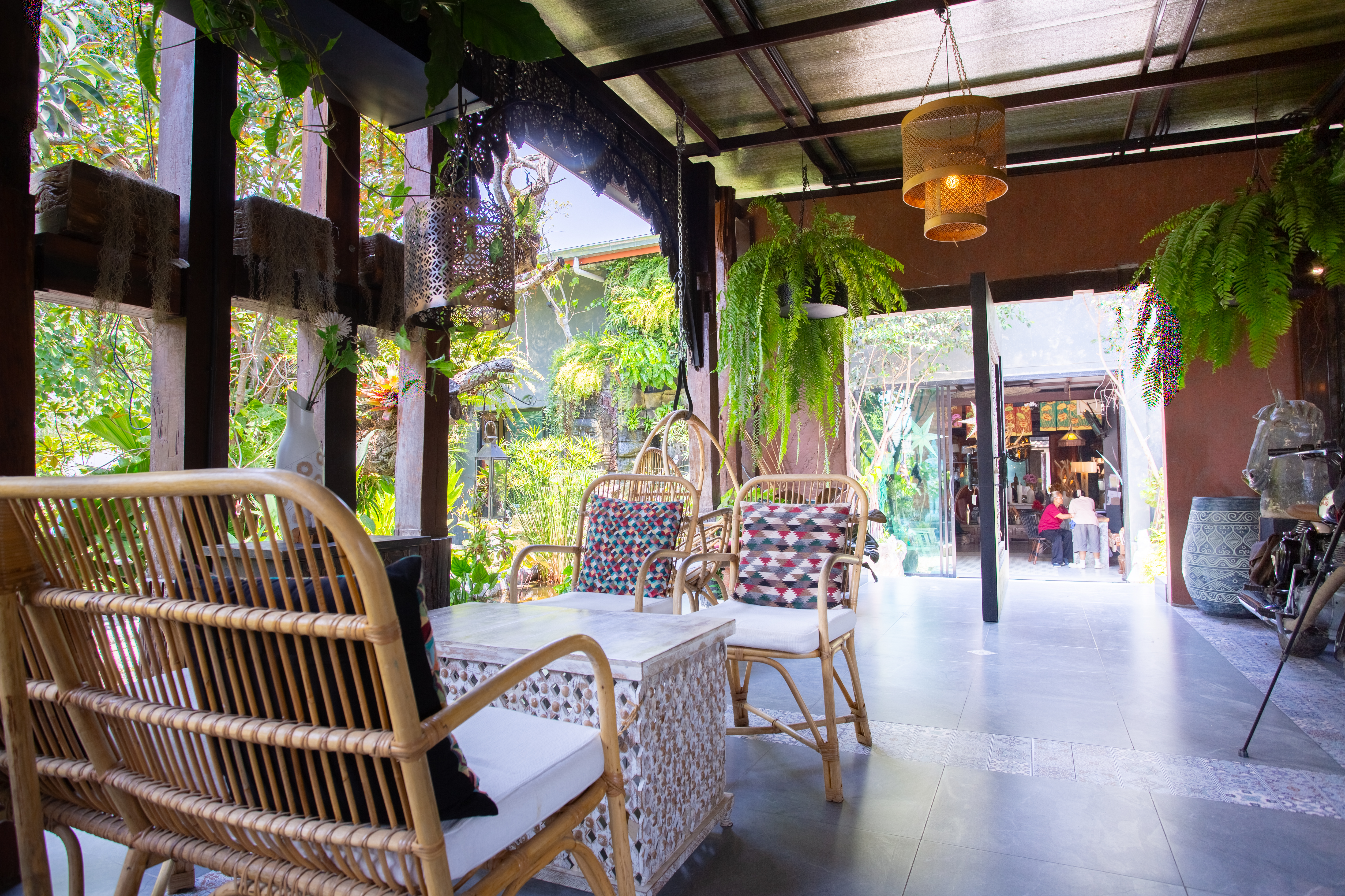 Rattan seating surrounded by hanging ferns and greenery